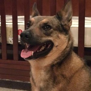 Meet your Posher, Bill